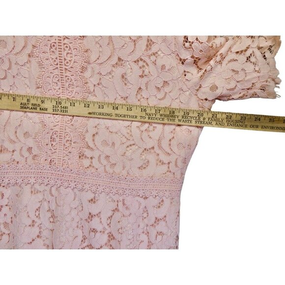 Rachel Parcell Pink Lace Sheath Dress Size XL Romantic Spring Easter Wedding - Picture 9 of 11